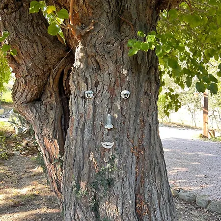 Casale Dal Moro וילה